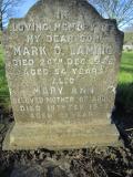 image of grave number 381159